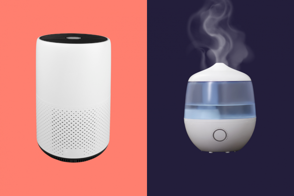 humidifier vs. air purifier