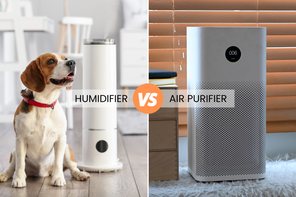 air purifier vs humidifier