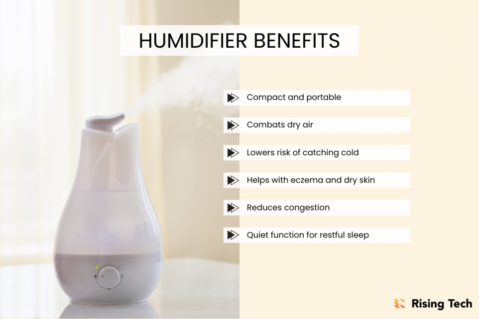 air purifier vs humidifier