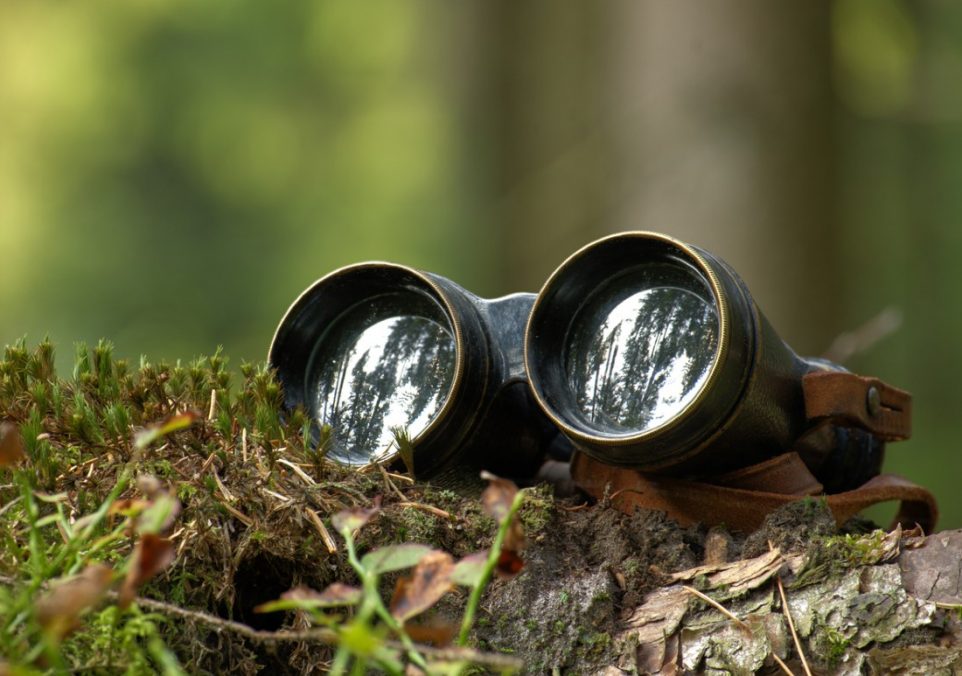 best birdwatching scope