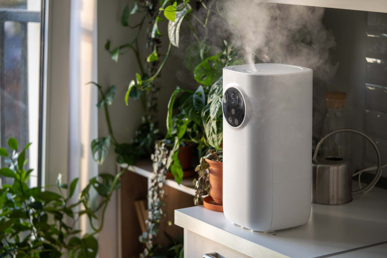 Air Purifiers for Mold